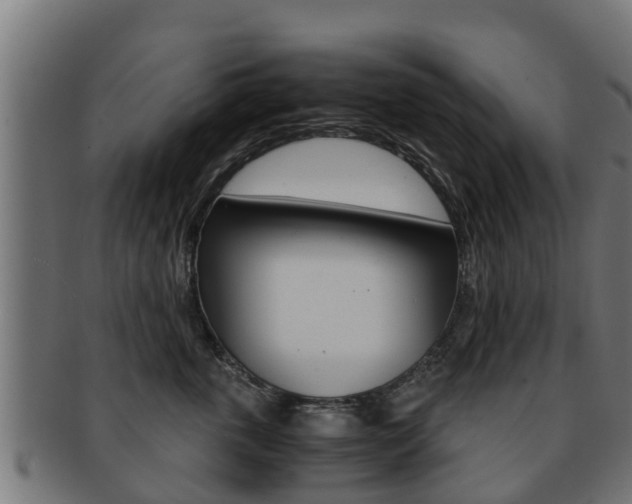 X0000091960763200709061100
