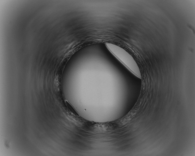 X0000091960764200709061100