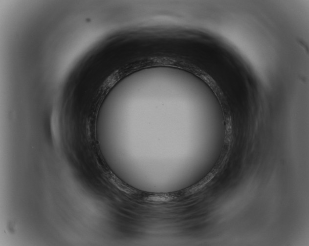 X0000091960765200709061100