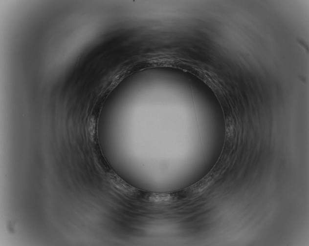 X0000091960767200709061100