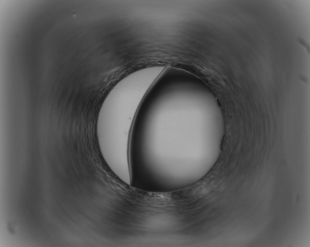 X0000091960768200709061100