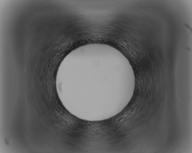 X0000091960769200709061059