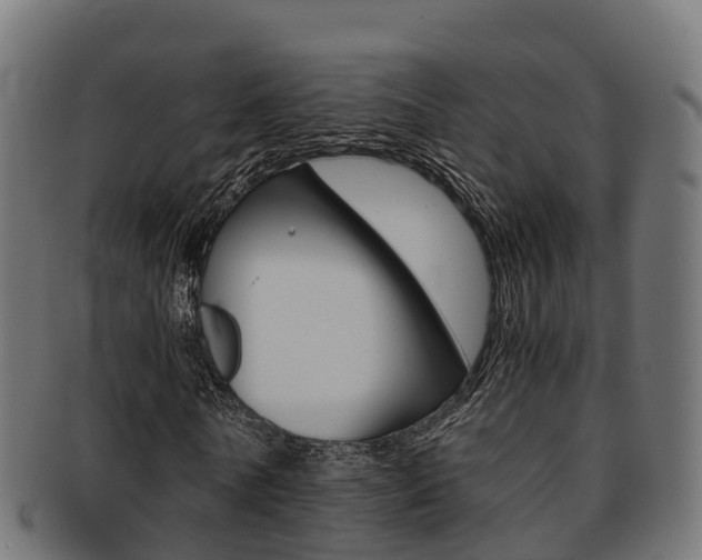 X0000091960770200709061059