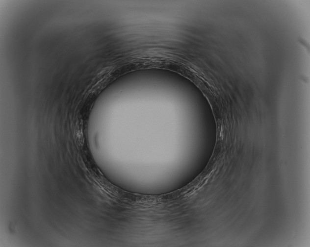 X0000091960771200709061059