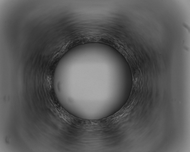 X0000091960772200709061059