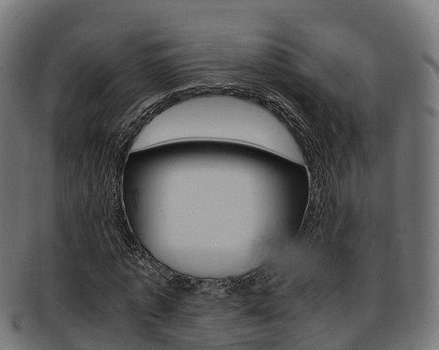 X0000091960773200709061059