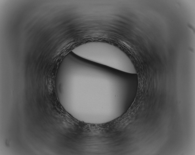 X0000091960774200709061059
