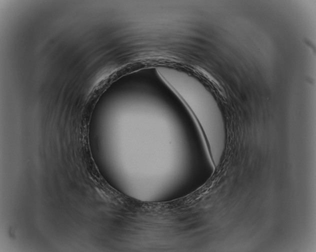 X0000091960775200709061059