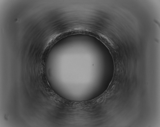 X0000091960776200709061059