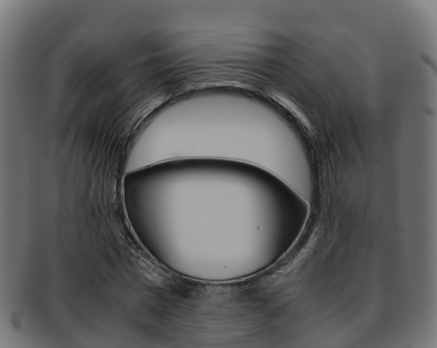 X0000091960777200709061059