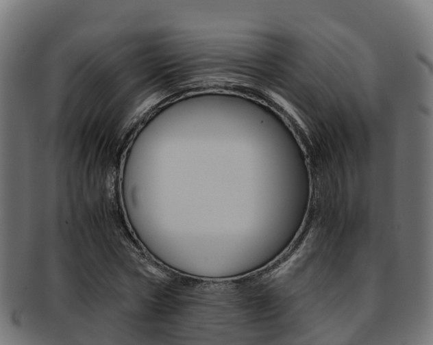X0000091960778200709061059