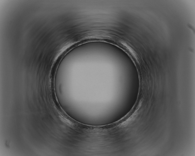 X0000091960779200709061059