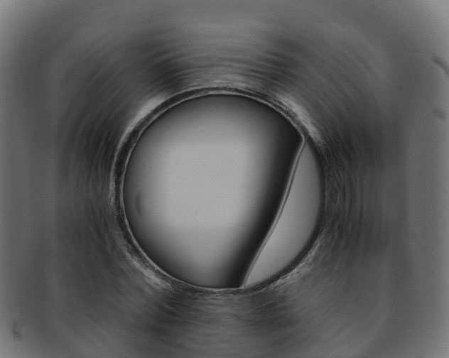X0000091960780200709061059