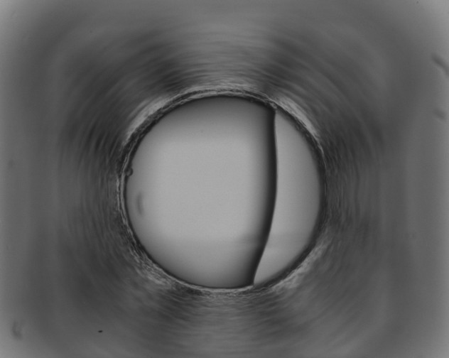 X0000091960781200709061059