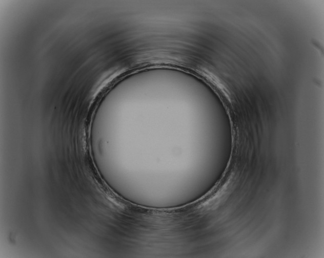 X0000091960782200709061059