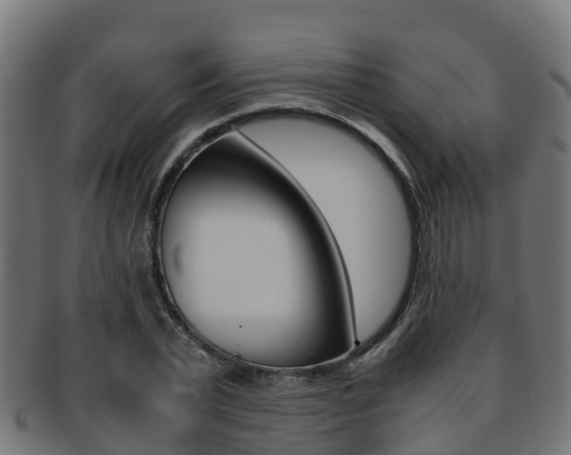 X0000091960783200709061059