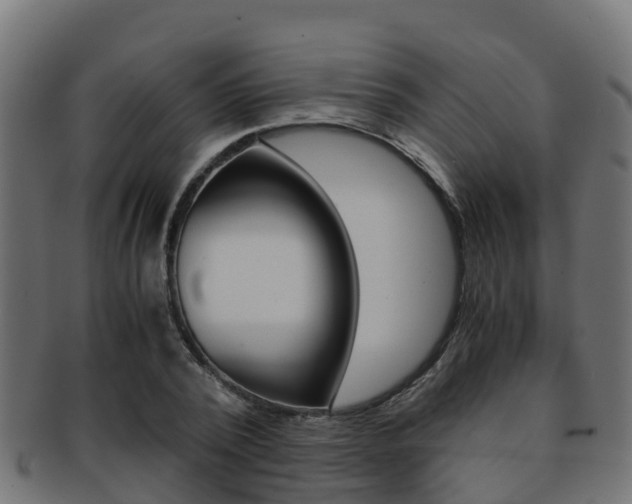 X0000091960784200709061059