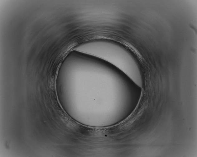 X0000091960785200709061059