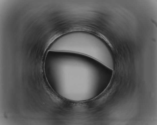 X0000091960786200709061059