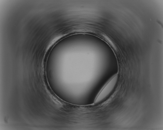 X0000091960787200709061059