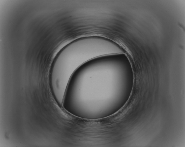 X0000091960789200709061059