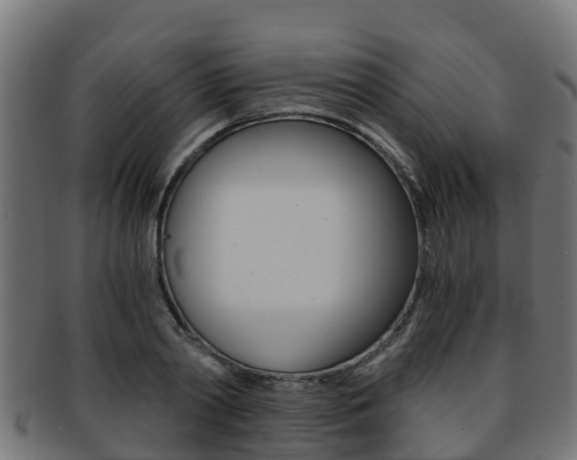 X0000091960790200709061059