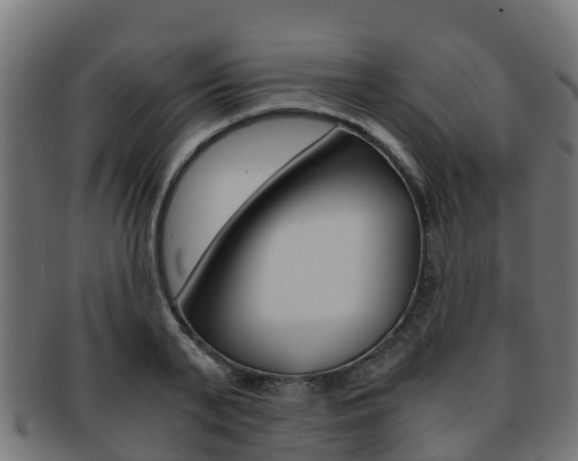 X0000091960791200709061059