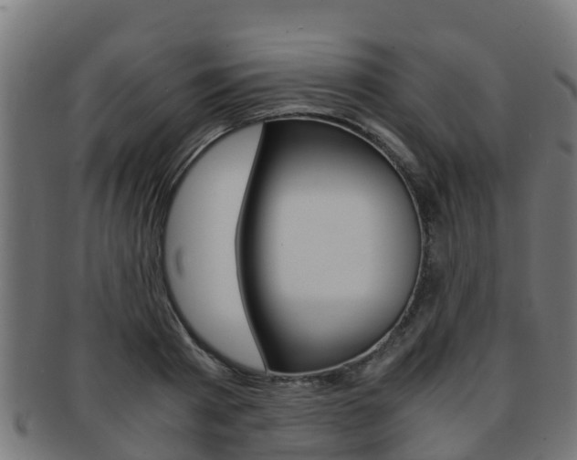X0000091960793200709061059