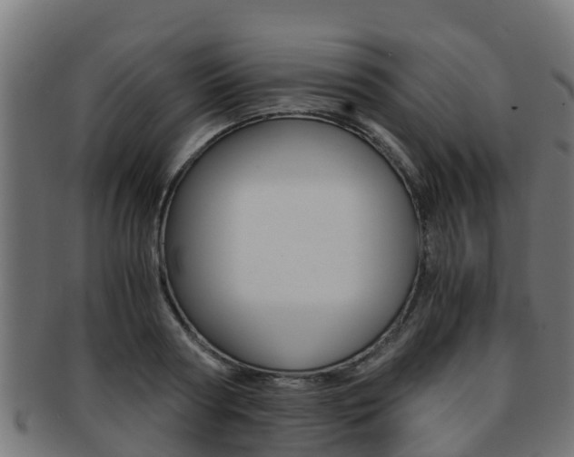 X0000091960794200709061059