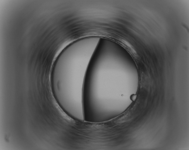 X0000091960796200709061059