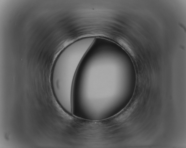 X0000091960797200709061059