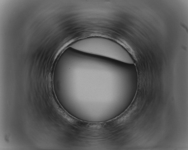 X0000091960798200709061059