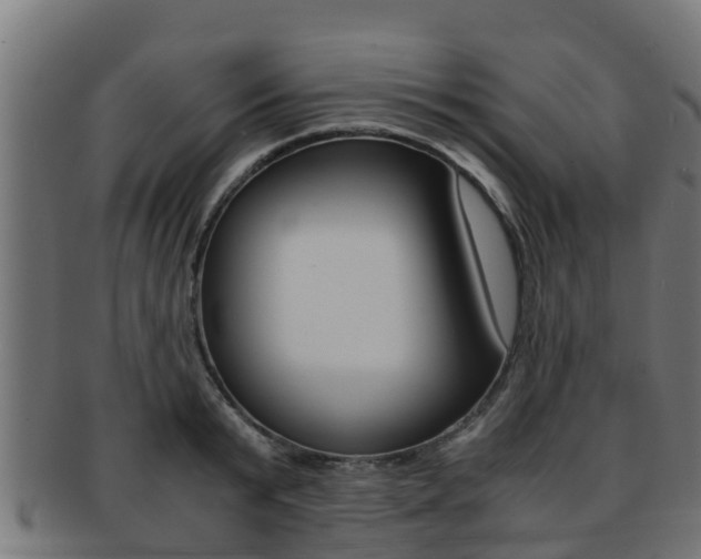 X0000091960799200709061059