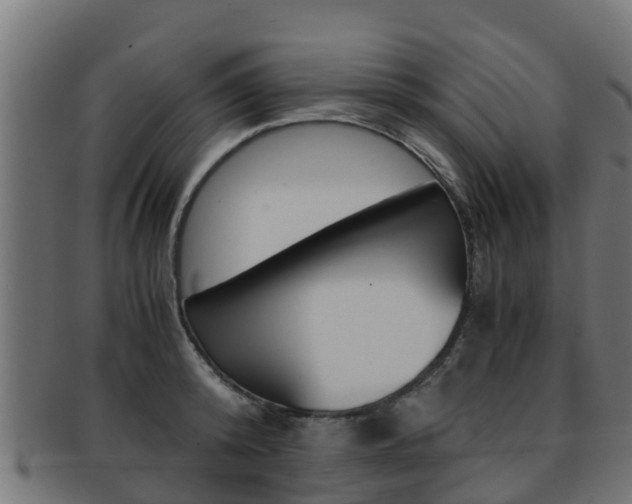 X0000091960800200709061059