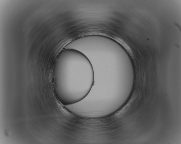 X0000091960801200709061059