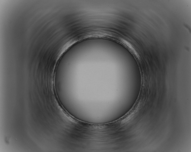 X0000091960802200709061059