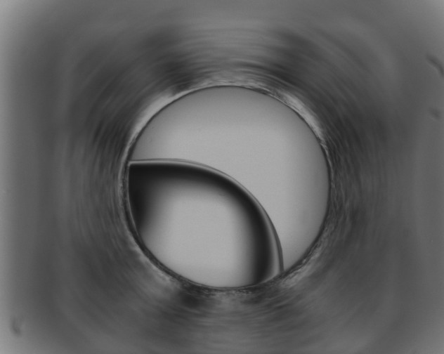 X0000091960803200709061059