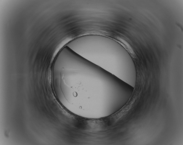X0000091960804200709061059