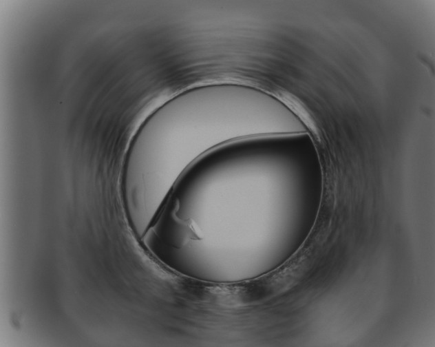 X0000091960805200709061059