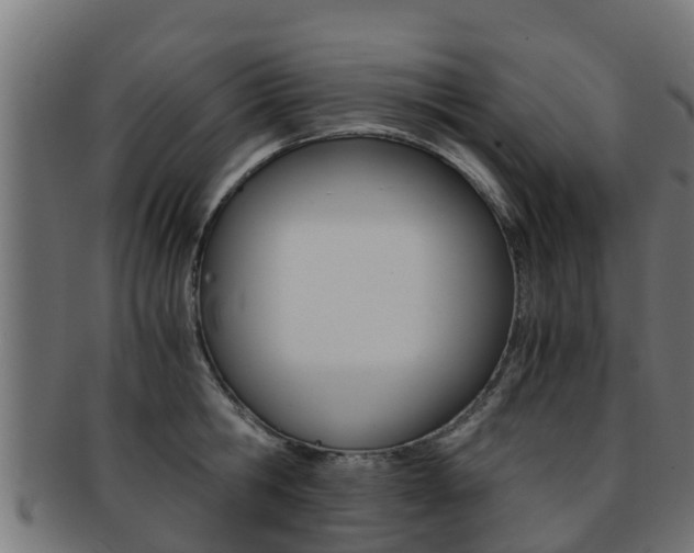 X0000091960806200709061059