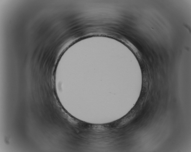 X0000091960807200709061059