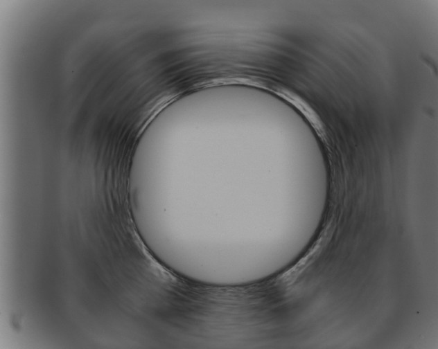 X0000091960809200709061059
