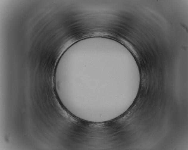 X0000091960810200709061059