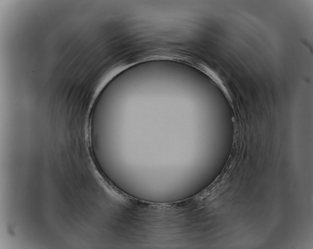 X0000091960811200709061059