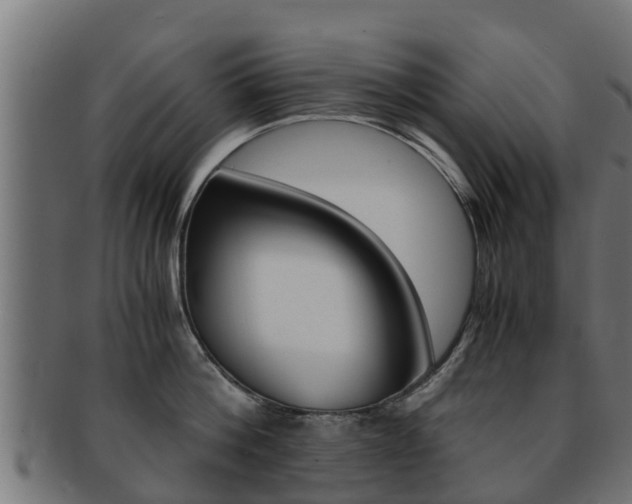 X0000091960812200709061059