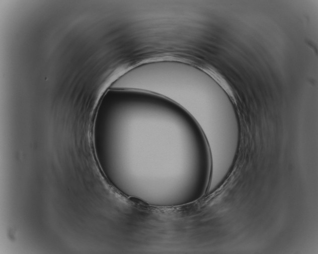 X0000091960813200709061059