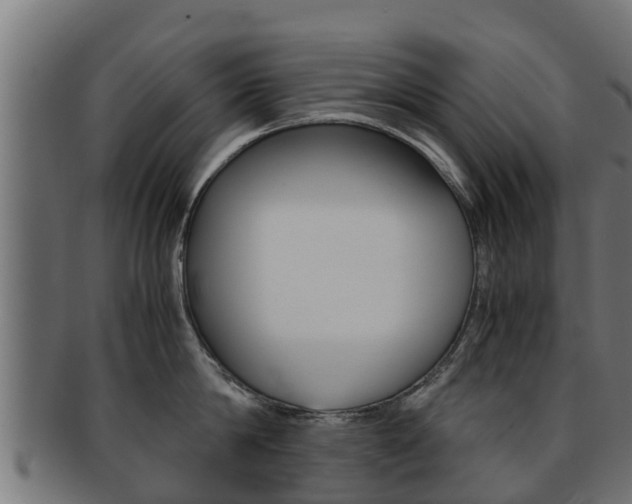 X0000091960814200709061059