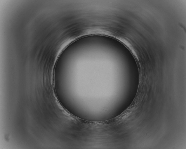 X0000091960815200709061059