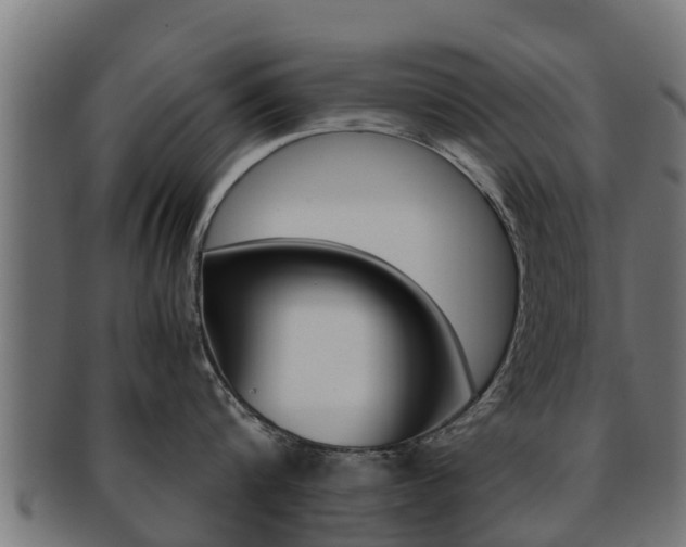 X0000091960816200709061059