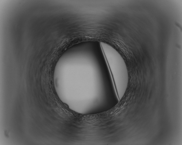 X0000091960817200709061058